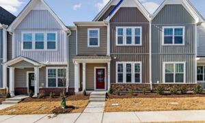 Row homes with shared property lines where a property line survey helps homeowners plan renovations