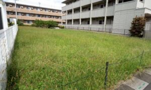 Vacant residential lot where a boundary survey would confirm the exact property lines before purchase
