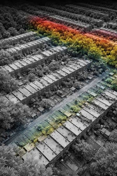 Residential point cloud elevation urban neighborhood - ALTA SURVEY Pennsylvania LiDAR mapping point cloud showing detailed elevation and surface changes across a dense residential neighborhood